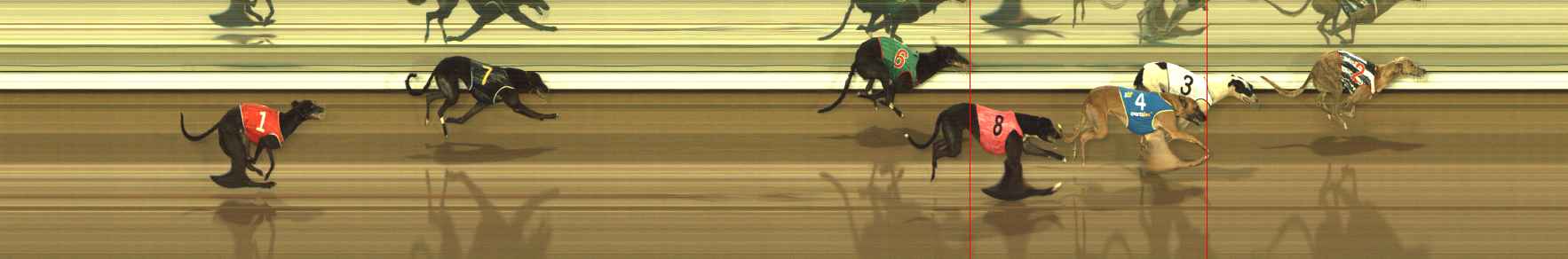 Race result finish photo